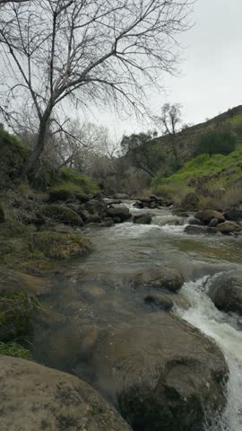 Vertical shot of a rushing winter creek in California hills