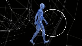 Animation of network of connections and data processing over human body model. science and data processing concept digitally generated video. - Powered by Shutterstock - Get 15% off with code: PIKWIZARD15