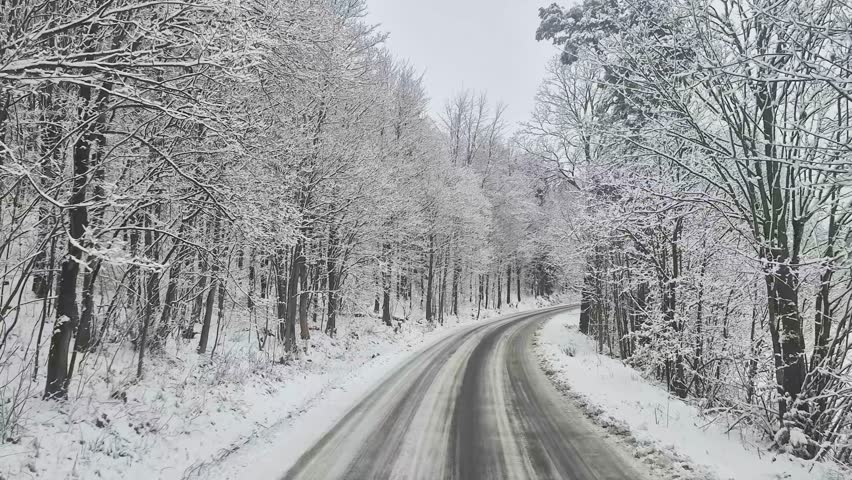 Driving on a forest road in winter in Poland.
