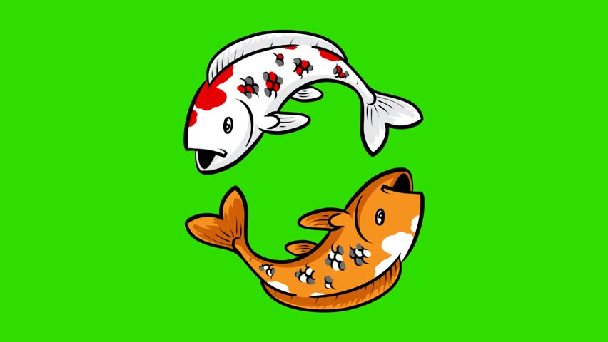 Looping Koi fish rotating animation
