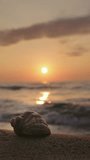 Seashell on sandy beach during sunrise with warm sunlight reflecting on sea. - Powered by Shutterstock - Get 15% off with code: PIKWIZARD15