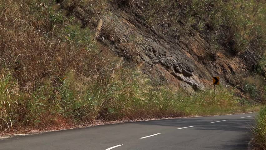A winding asphalt road curves through a lush hillside covered with tall grass, rocky slopes, and trees. A direction sign marks the bend, capturing the beauty of scenic countryside travel and rural mountain infrastructure.