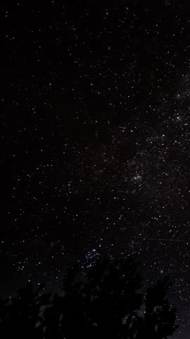 Time lapse of Star trails above silhouettes of trees in the night sky. Epic video, vertical footage