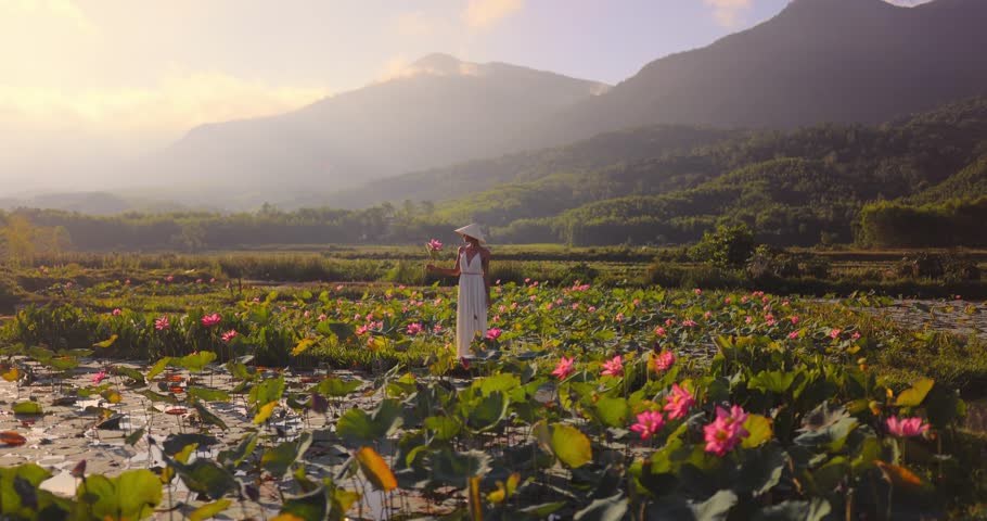 Tra Ly Lotus Pond sunrise scene: woman in conical hat among pink flowers, mountain mist and warm reflections. Ideal for Vietnam travel ads, culture documentaries, and wellness lifestyle edits.