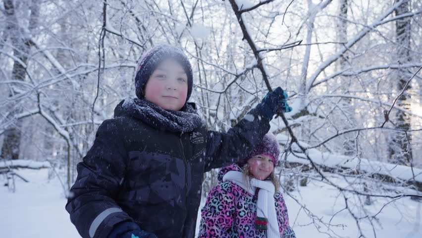 Happy children walking in a snowy forest. A boy shakes snow off a tree, a cheerful and happy childhood in winter.