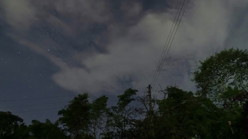 Overcast sky with overhead power lines and trees timelapse moving clouds