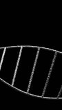 Vertical video: On play, helix strand sliding across UI panels, showing rungs to highlight texture. Rope, spiral, ribbed, dashboards, screens, tiles, vertical video - Powered by Shutterstock - Get 15% off with code: PIKWIZARD15