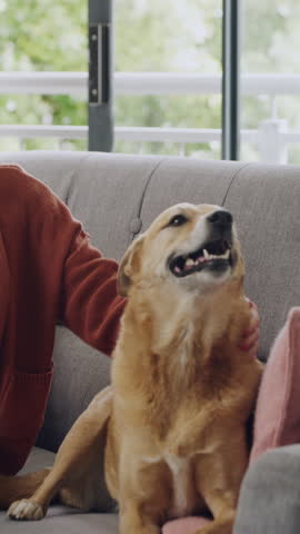 Happy, woman and selfie with dog, lounge and bonding on couch, kiss and photography for social media. Home, person and memory with domestic animal on break, laughing and picture with pet on sofa