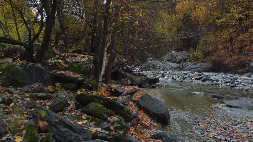 Mountain river water flow with red and yellow trees autumn foliage aerial view