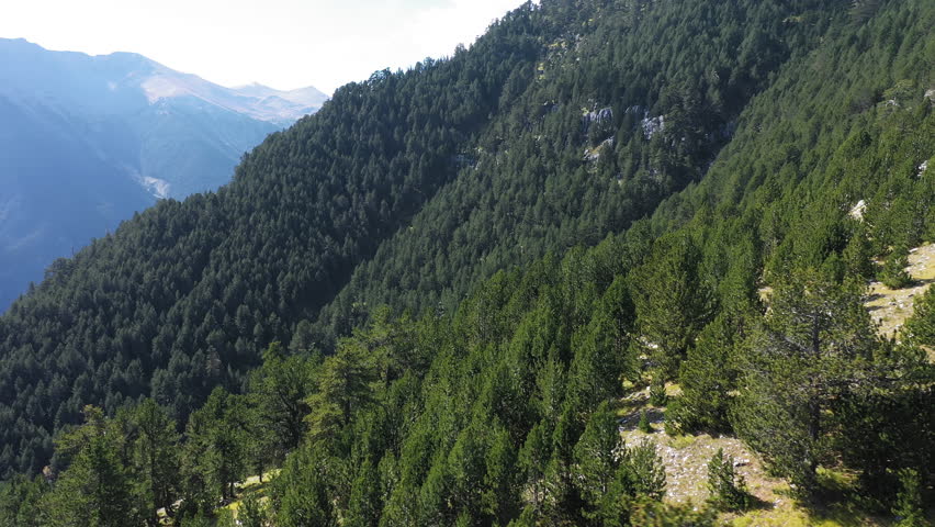 Lush forest slopes on Mount Olympus in Greece, aerial establishing tracking left backdrop