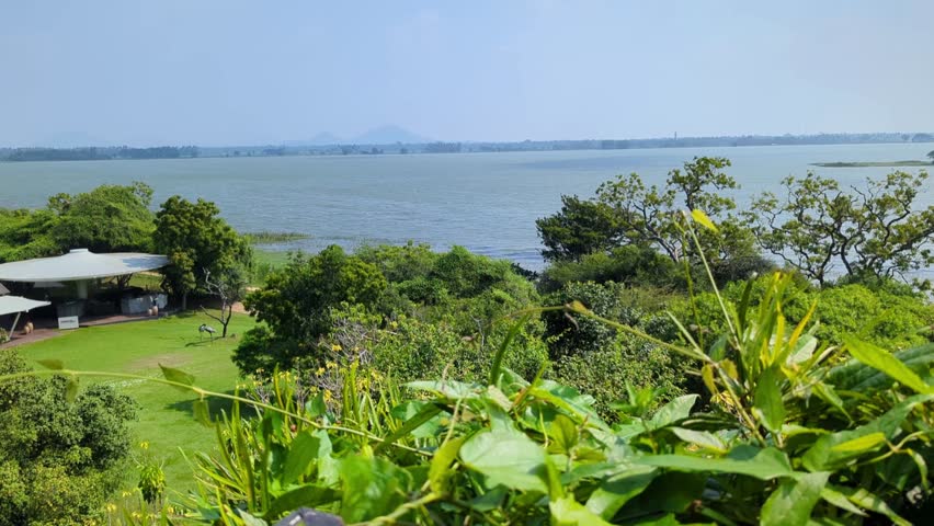 Beautiful panoramic lake view framed by vibrant tropical plants and trees under a clear blue sky in Sri Lanka, creating a peaceful natural landscape.