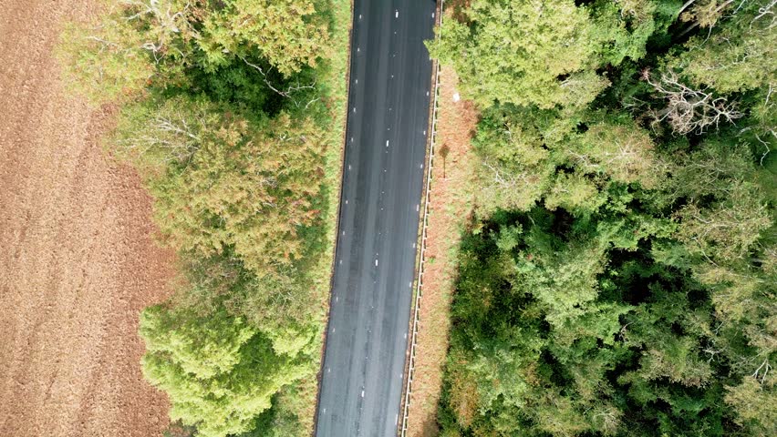Top down view of straight highway with vegetation on both sides