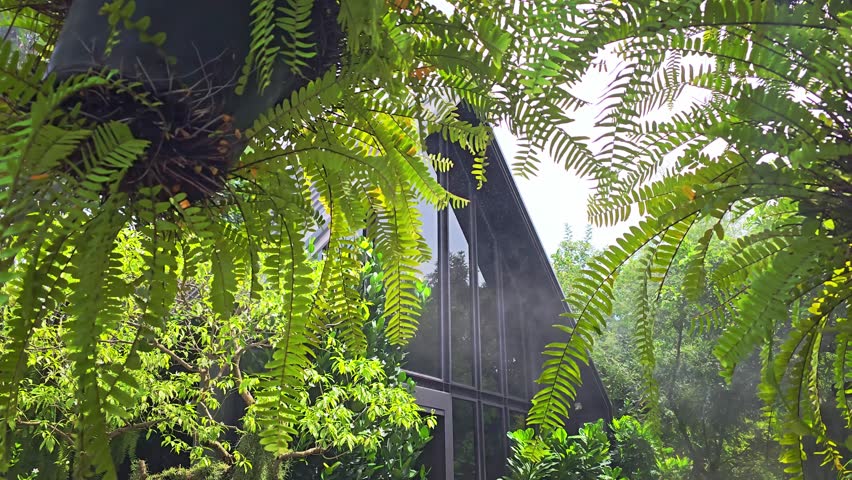 Slow Panning Shot Through Lush Hanging Greenery Revealing a Modern Nordic Style Restaurant Interior in Bangkok, Thailand