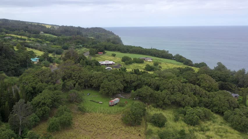 Aerial View of Lush Tropical Farm and Residential Houses near Ocean, Big Island Hawaii