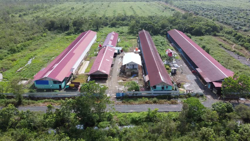 Aerial view of fertilizer production warehouse for oil palm trees