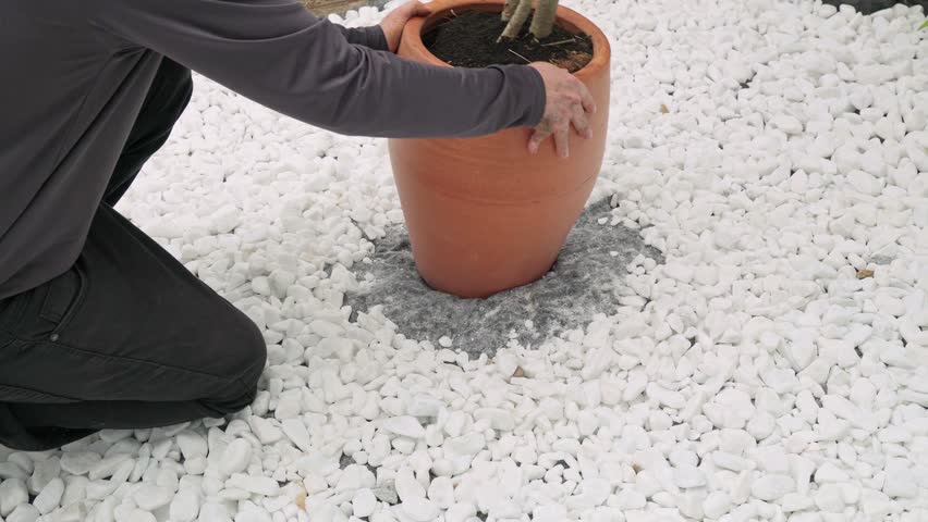 High angle shot of a person kneeling and carefully positioning a large terracotta planter into a cleared space among white decorative pebbles in a backyard.