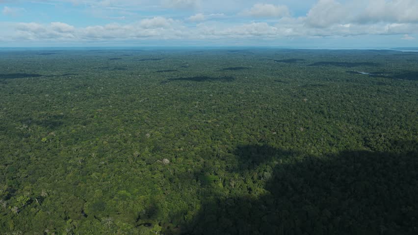 Vast amazon rainforest aerial view with clouds shadows and huge forest