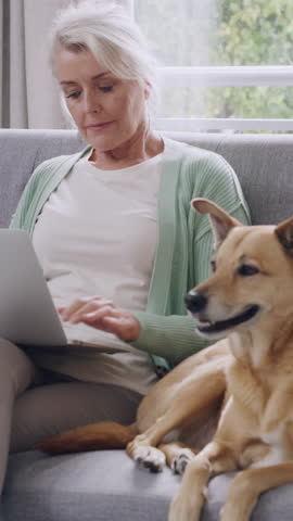 Home, dog and old woman with laptop on couch, love and bonding with animal, chilling and comfortable. Petting, canine and relax with furry companion in lounge, retirement and senior person with tech