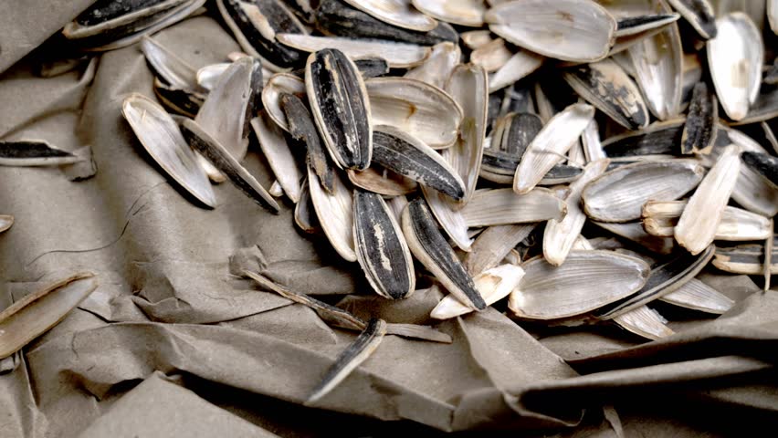 A pile of sunflower seed husks on crumpled used wrapping paper. Food scraps