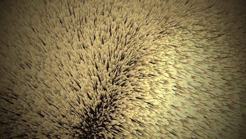 Ultra Realistic Dry Grass Field in Wind Top Down Perspective 1080p