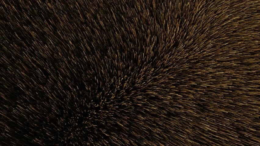 Ultra Realistic Dry Grass Moving in Wind Animation Top Down Cinematic 1080p Seamless Loop