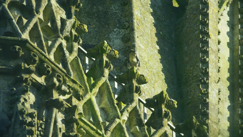 Wild peregrine falcon perched on ornate gothic stone architecture of Salisbury Cathedral, England. Urban bird of prey resting on historic church building in natural daylight.