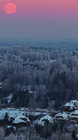 A glowing full moon hangs above a frost covered forest during blue hour, where layered winter trees and soft pink gradients create a calm and atmospheric night landscape.