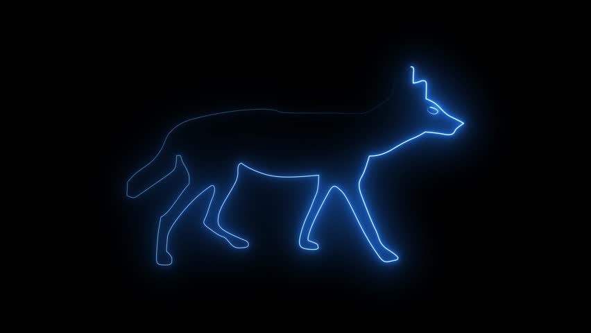 A neon silhouette of a fox, outlined in vibrant pink and red light against a stark black background.