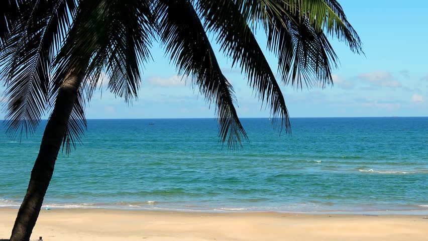 This serene clip captures the pristine beauty of Lang Co resort, where swaying palm fronds frame a turquoise ocean horizon.