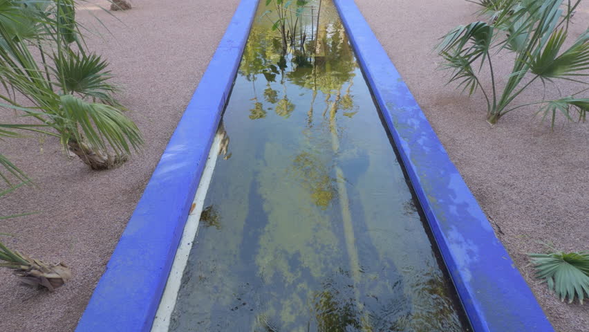 Blue Canal Reflecting Palms and Cacti, Jardin Majorelle, Marrakech, Morocco
