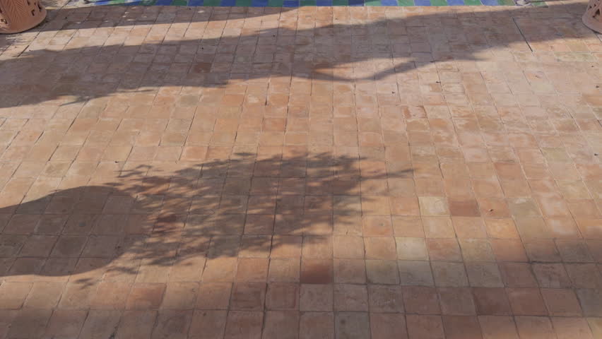 Majorelle Blue Villa Oasis Surrounded by Gardens, Jardin Majorelle, Marrakech