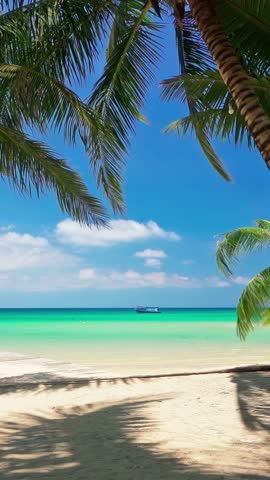 Tropical beach with scenery coconut palm tree and colorful sunset above ocean. Summer vacation in tropical paradise concept 4K