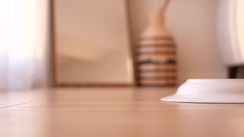 a slice of pizza and plate dropped on a wooden floor 