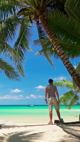 Tropical beach with scenery coconut palm tree and colorful sunset above ocean. Summer vacation in tropical paradise concept 4K
