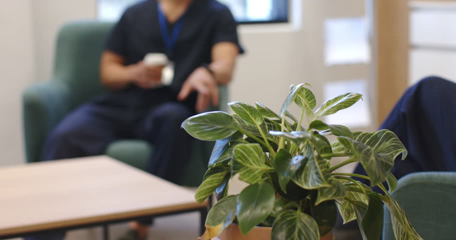 Camera shifting focus, Asian male in scrubs smiling, holding cup, responding to coworker in lounge. Plant, greenery, armchair, breakroom, healthcare, staff, window