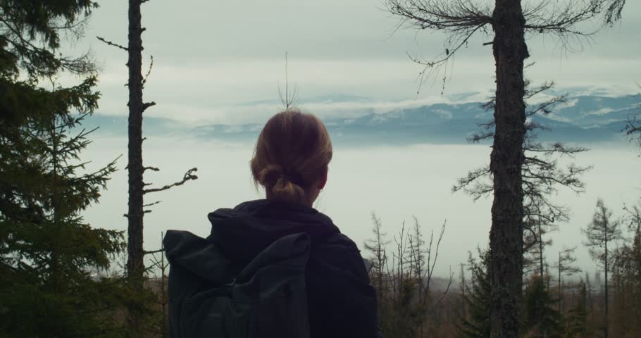 Woman contemplating High Tatras mountains from forest