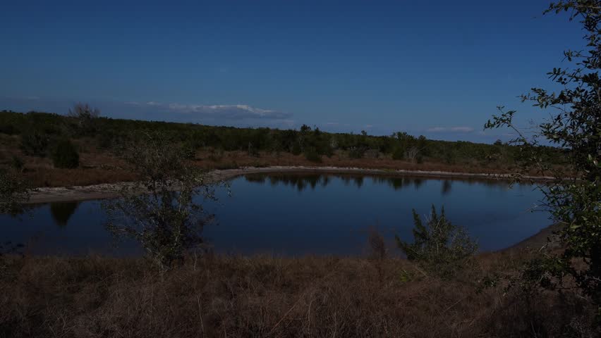 A super large lake with vegetation that does not grow very high on both sides. The whole thing with an immense blue sky with a few clouds.
