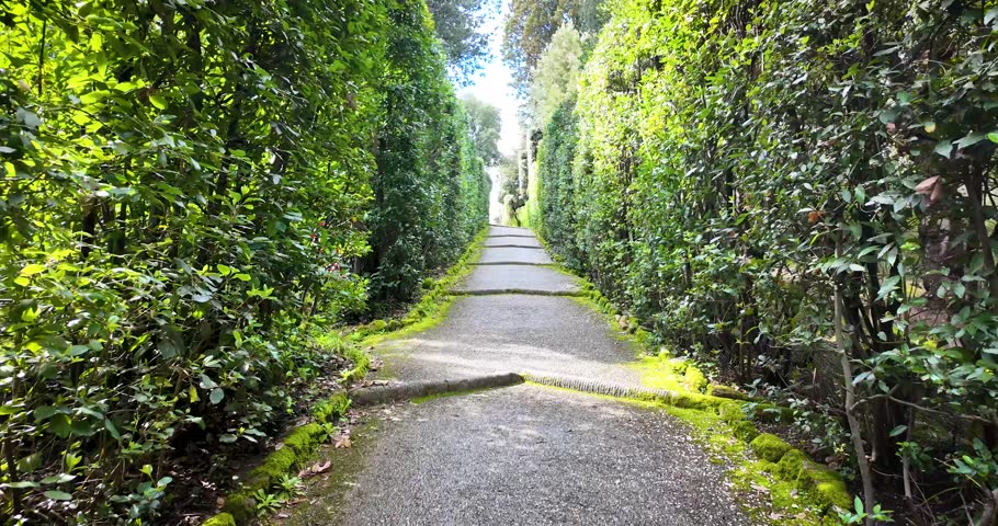 First-person walk through Boboli Gardens in morning light, behind Palazzo Pitti in Florence. Natural paths, sculptures and Renaissance design create a serene historic atmosphere.