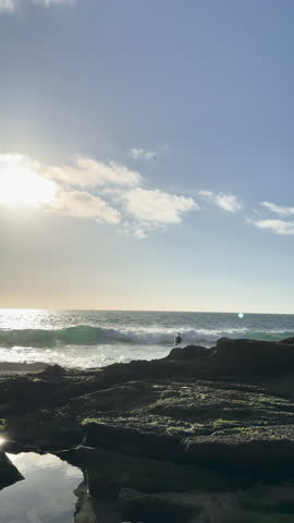 A seabird stands on dark coastal rocks as waves crash behind it. Blue sky and scattered clouds frame the rugged shoreline in a bright daytime ocean setting.