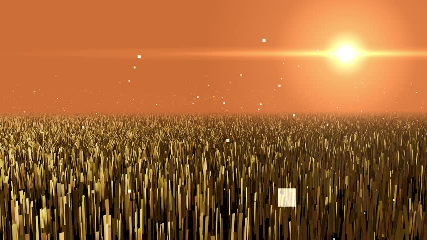 Cinematic Drone Flythrough Golden Grass Wind Simulation 1080p Seamless Loop