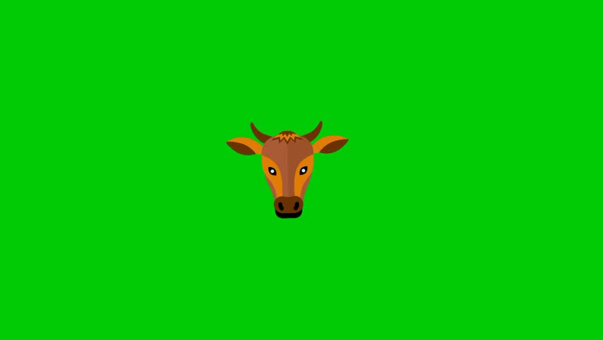 Cow head cartoon animation, farm, green background 