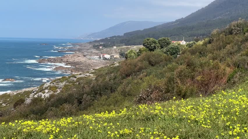 Atlantic coastline landscape with blue ocean, rocky shore and green hillside covered with yellow wildflowers, Scenic coastal destination concept for travel marketing, sustainable tourism