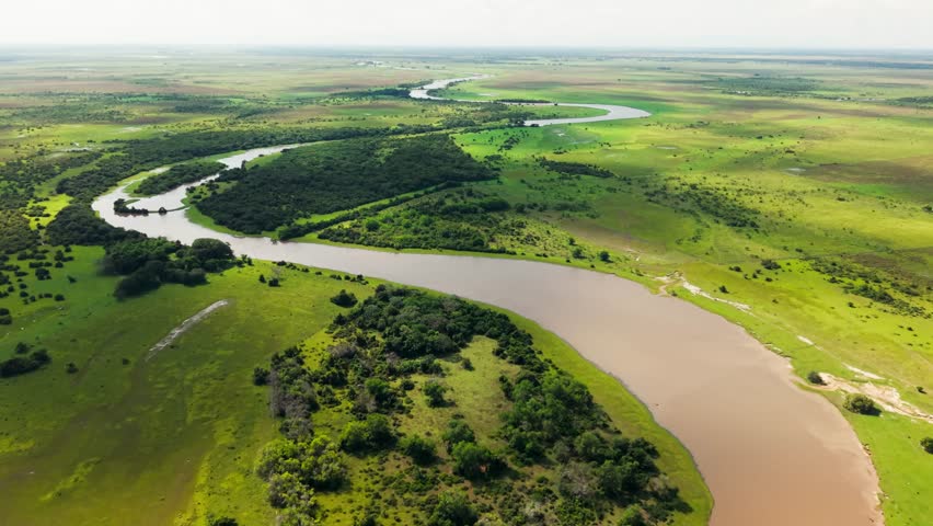 Aerial view of a winding river flowing through the vibrant green savanna of the colombian llanos