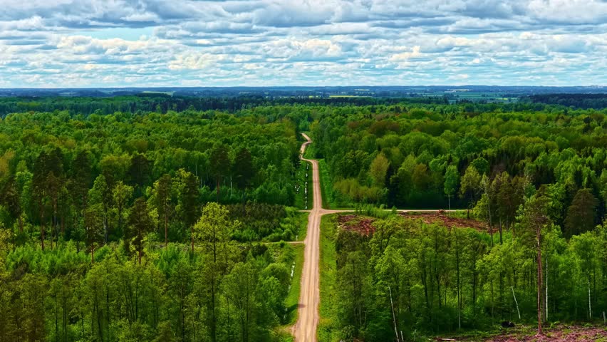 Aerial view of long straight dirt roads through a green summer forest