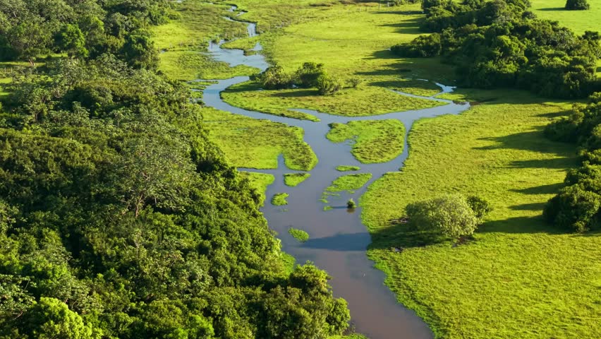 Drone view of a winding river flowing through a lush green valley in the colombian plains