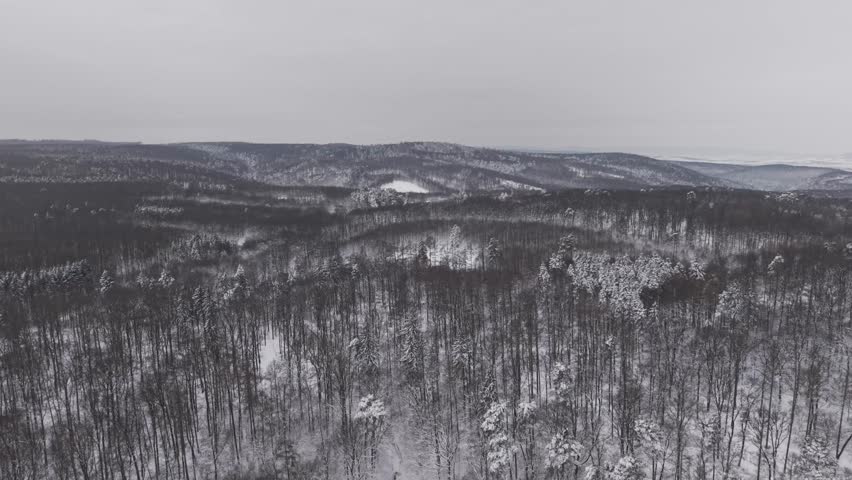 Wide aerial view of a winter forest stretching across rolling hills under an overcast sky. Snow covered trees blanket the landscape, creating a calm and atmospheric scene.