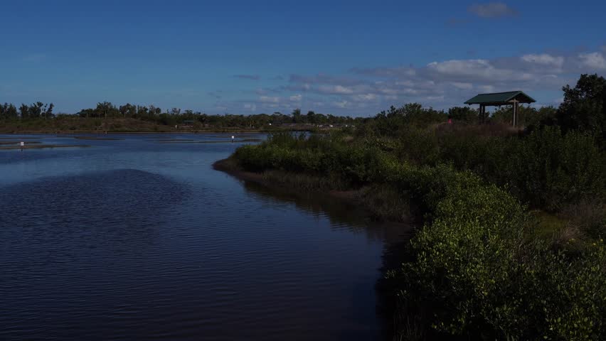A vast lake with small waves moving tenderly. On the right side, lush greenery unfolds beneath a magnificent blue sky dotted with a few clouds.