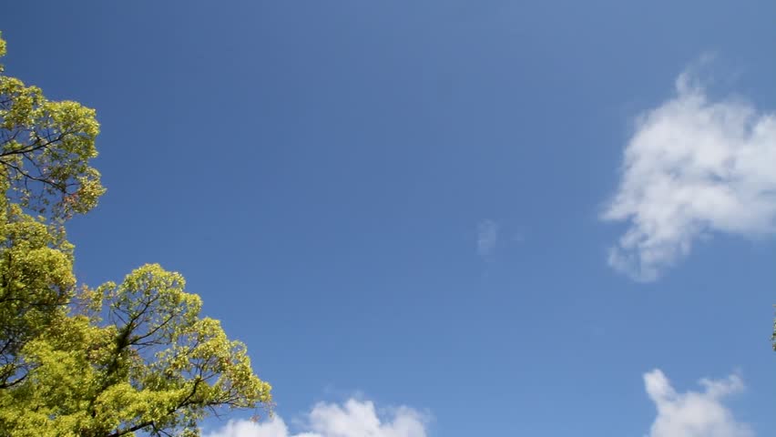 Hiroshima Atomic Bomb Dome