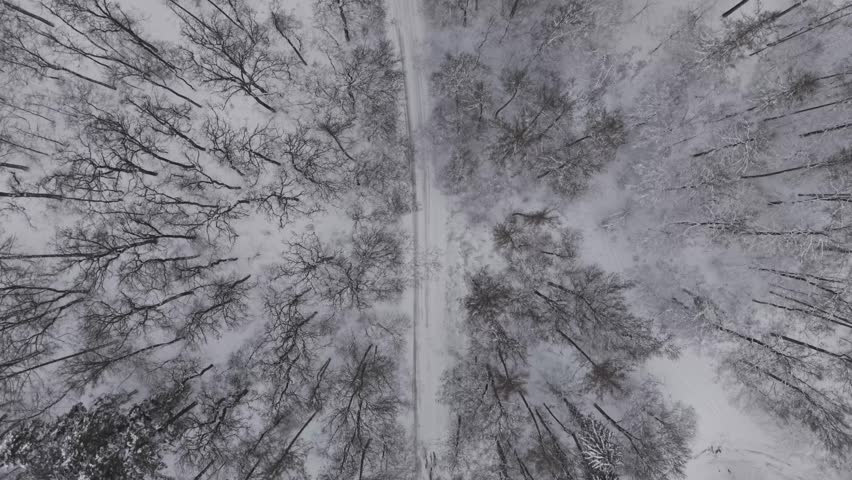 A straight snow-covered road runs through a dense winter forest in a top-down aerial view.