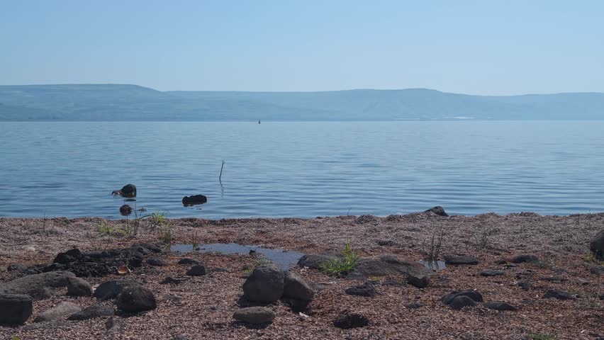 Sea of Galilee shore featuring water puddles and green grass during an aerial slide to the right in Israel.